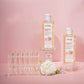 Dr Rashel - Face & Body Oil SPF 50++++ (Original)